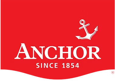 https://paragonfmr.com.au/wp-content/uploads/2026/08/Anchor-logo-2.png